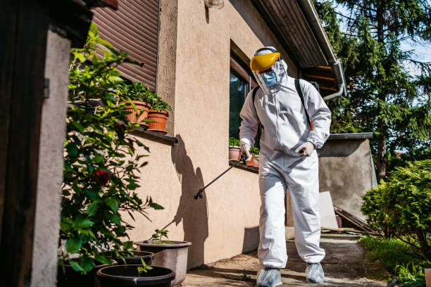 Best Local Pest Control Services  in Marshall, MI