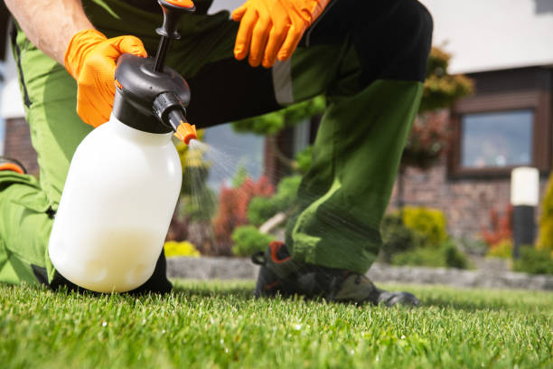Best Cockroach Control Services  in Marshall, MI