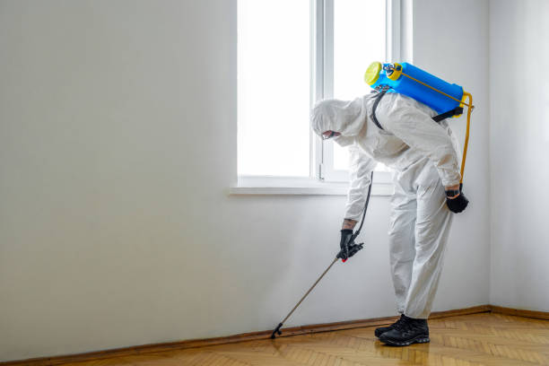 Best Affordable Pest Control Services  in Marshall, MI