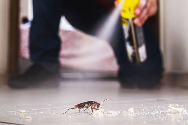 Best Rat Extermination Near Me  in Marshall, MI